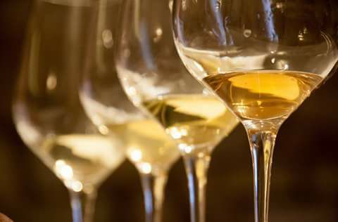 calici-vino-bianco-albana-cantina-celli Calici vino bianco Albana