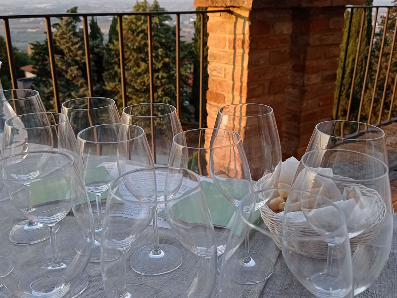 Vini di Romagna Estate