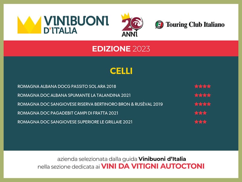 Vini buoni d'Italia 20esima edizione