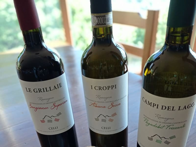 i-vini-di-bertinoro-cantina-celli
