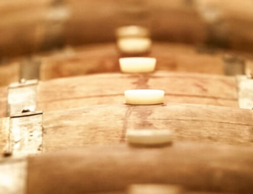 Vini di Bertinoro: le medaglie nei concorsi internazionali
