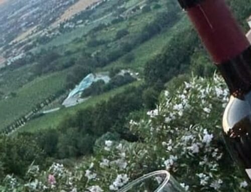 Una medaglia americana  per i vini di Bertinoro della cantina celli