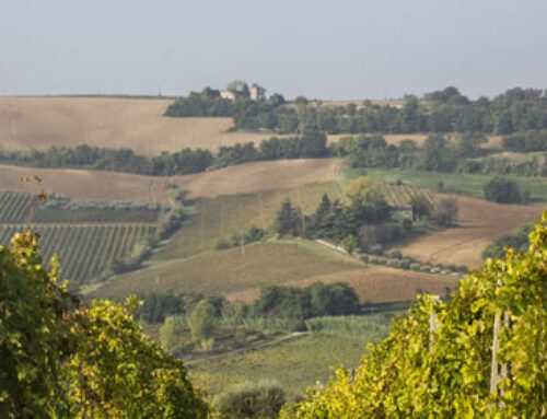 Storia della Romagna: radici bizantine ed odierna passione