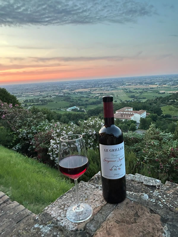 vini-di-bertinoro-premio-americano-cantina-celli vini di bertinoro